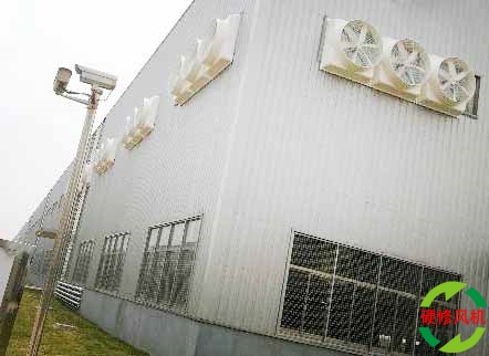 杭州排風扇,工業排風扇,工業風機惠1460元